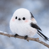 春陽（はるひ）