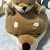 鮭のムニエル