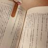 椎名菜