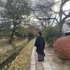 ちんちらさん
