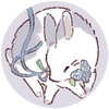 ふわ✧