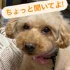 バナナん