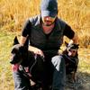 will 10dogs