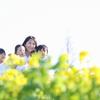 彩華315