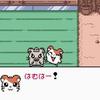 はむはー！