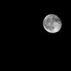 Luna心の中に光を