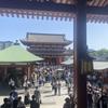 tanukiti_syuukatu