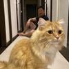 ハニオ君