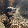 abeinuinu
