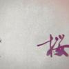YM calligraphy