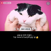 サキ崎