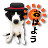 ウイリアムズ
