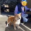 セイナス