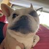 バルセロナあかり