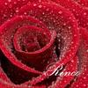 Amour R