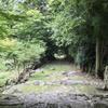 橘高 和季