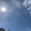t127879445