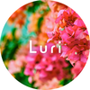Luridesign