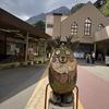 愛知東邦大学　桒原