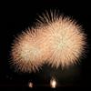現役キャリアコンサルタント
