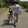 りょうなま