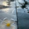 Hygge(ヒュッゲと読みます)