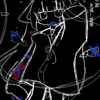 ねいぬ