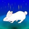 野ウサギ 太郎