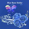 BlueRoseStellar