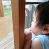 へぐみん