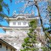 瀬川なつ