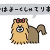 hoshiko81