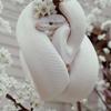 水蓮￤白蛇神の依代・霊感鑑定師