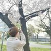 全力で頑張る