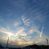 相川 コツメ