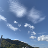 しょーてぃー
