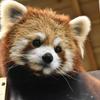 まろさんの悩み相談