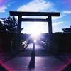 sunnydsun