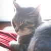 maru♪