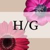 matsuyama hg