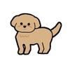 犬井トイ。