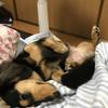 やる気ユウキ