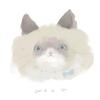 春戸シュラ