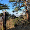 山双石