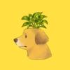 犬井むね子