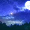 白小夏