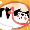 今日マトメ