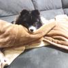 鬱を治そう