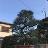 仲川志郎