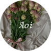 aoik1229